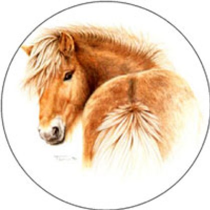 Aufkleber Tölter mehrfarbig